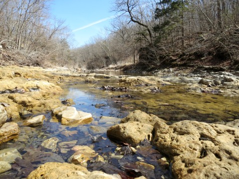 clifty_creek_conservation area