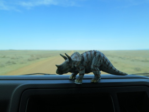 Triceratops baby along for the ride. He kept us company through the Osage Plains, loess hills, IOWA, Badlands, Black Hills and empty, empty Wyoming grasslands. What a trooper.